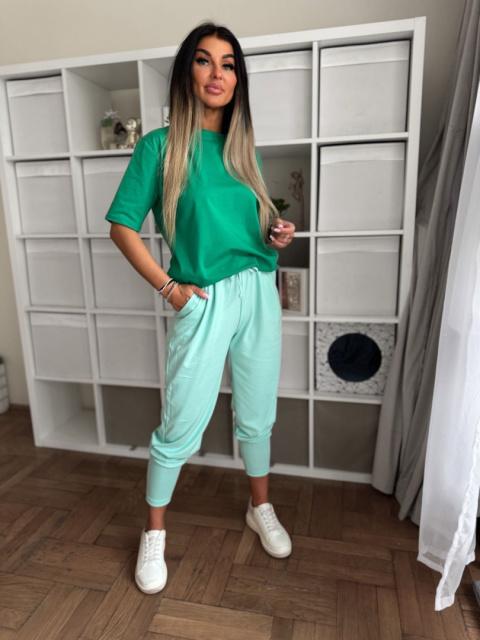 T-shirt bawełniany ASTON | zieleń | okrągły dekolt |oversize | 100 % bawełna